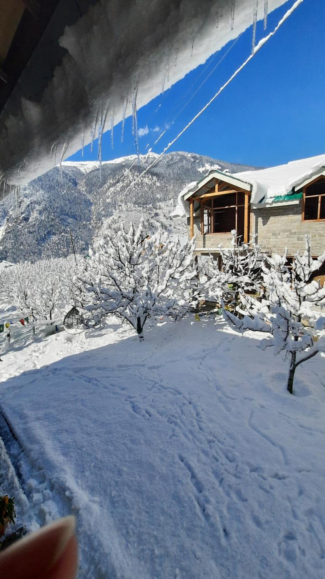 The Hideout - Hiraeth Hostel Manali  Ngoại thất bức ảnh