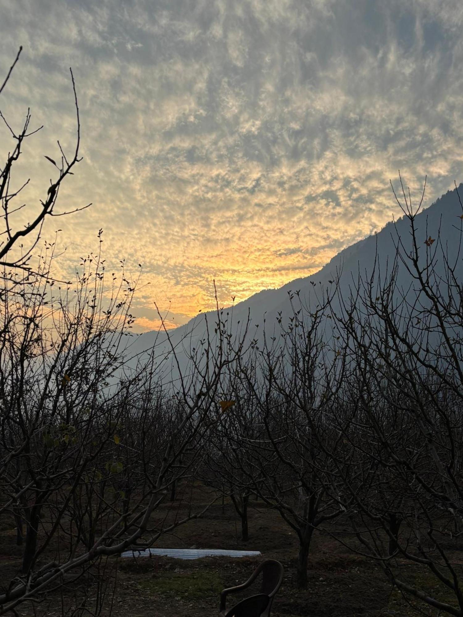 The Hideout - Hiraeth Hostel Manali  Ngoại thất bức ảnh
