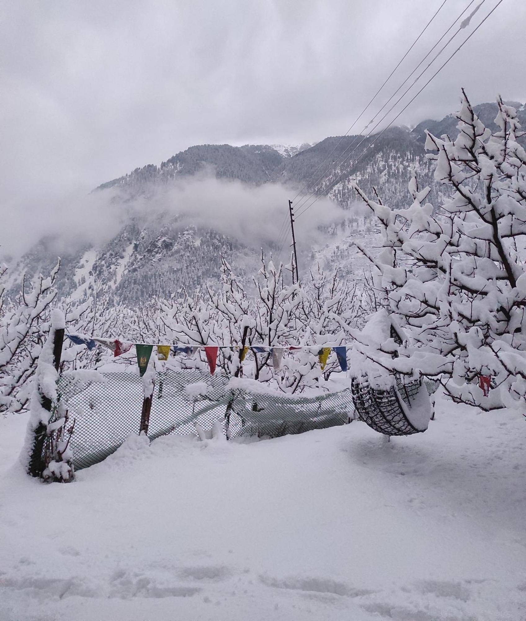 The Hideout - Hiraeth Hostel Manali  Ngoại thất bức ảnh